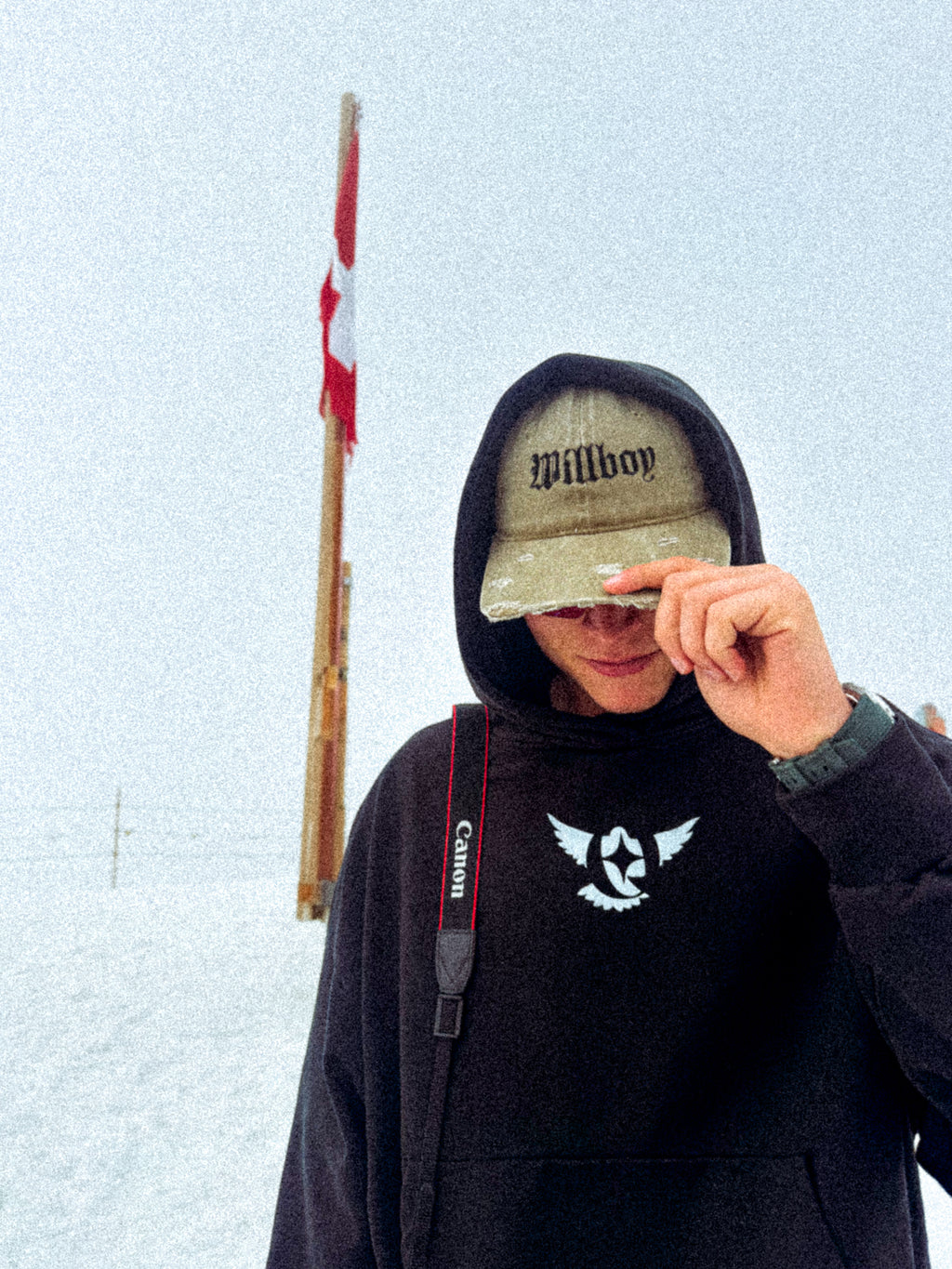 Classic WBC cropped hoodie image 3