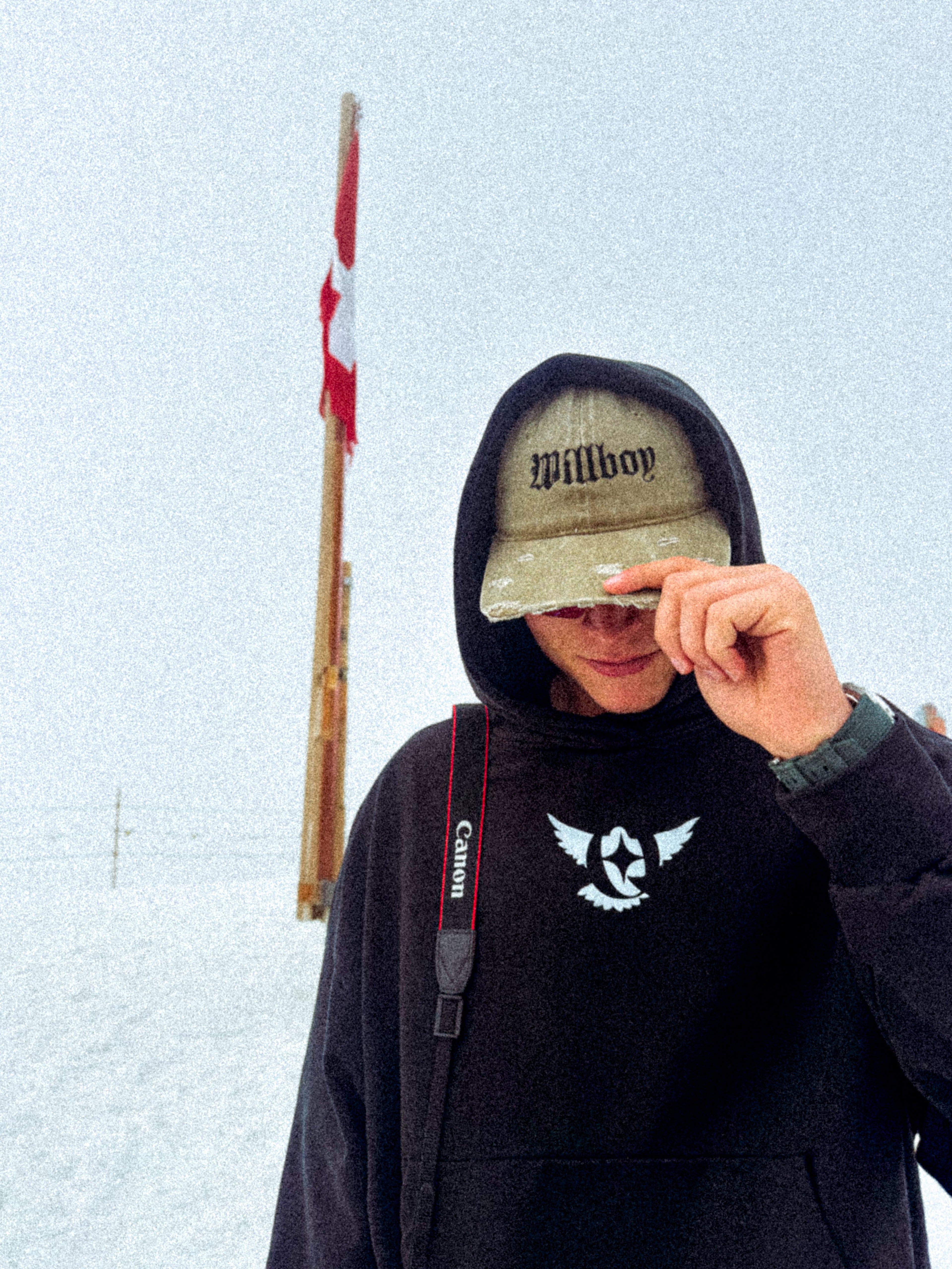 Classic WBC cropped hoodie image 3
