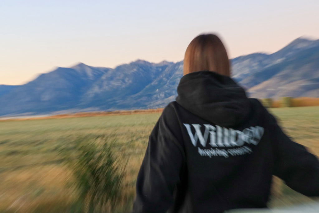 Classic WBC cropped hoodie image 2