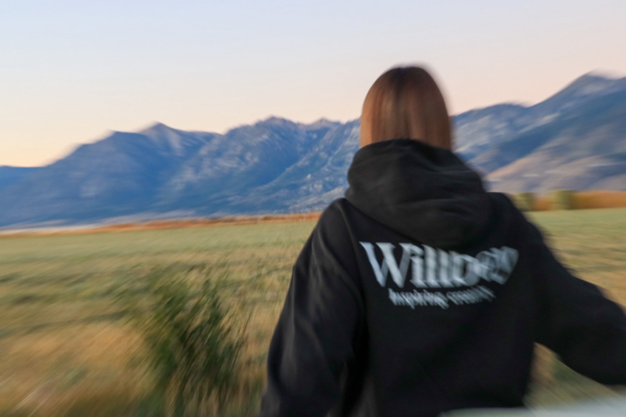 Classic WBC cropped hoodie image 2